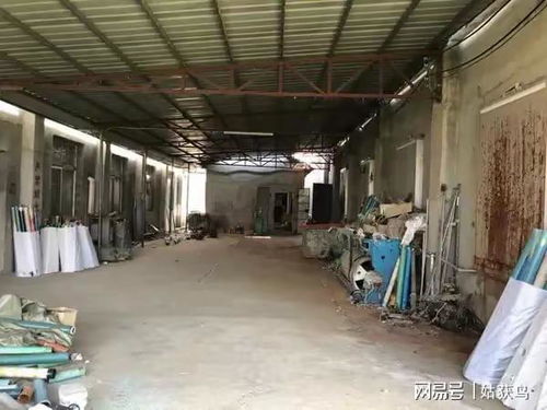 武漢市的一座大型工廠第三次拍賣,價格降到579.5萬元也沒人要